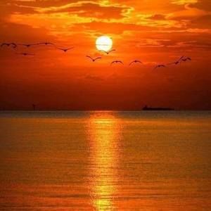 Meet your Posher, Ana